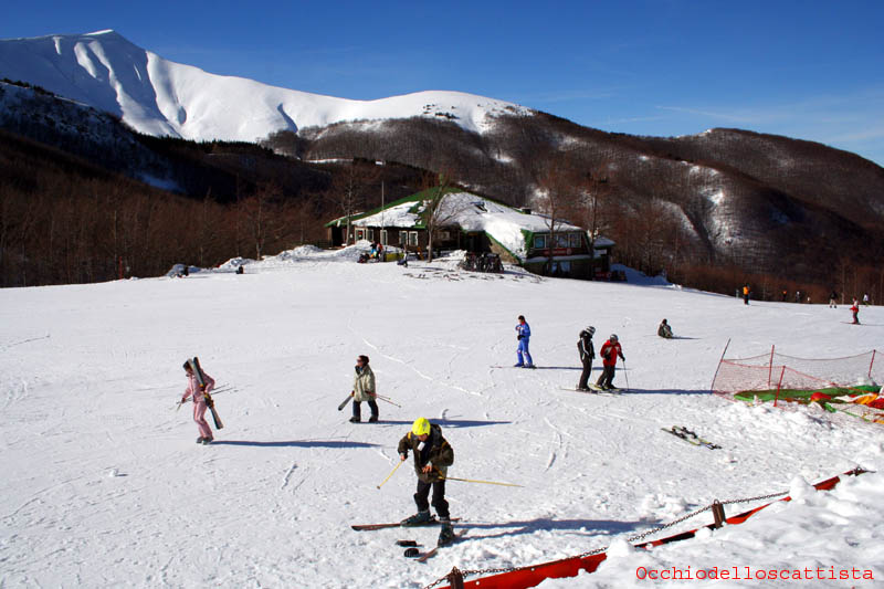  Image name: 10-corno alle scale.jpg 
 width: 800 pixel 
 height: 533 pixel 
 Size: 78713 bytes 
 Click to enlarge 